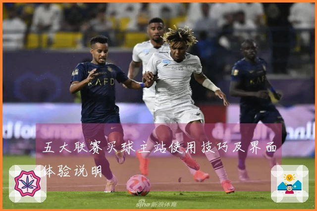 五大联赛买球主站使用技巧及界面体验说明