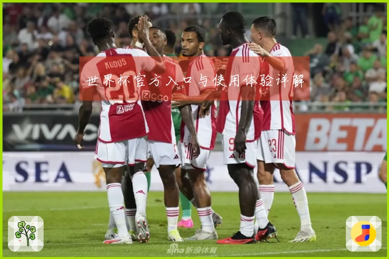 世界杯官方入口与使用体验详解