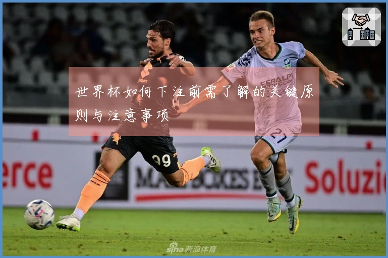 世界杯如何下注前需了解的关键原则与注意事项