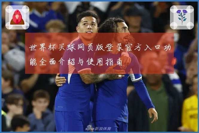 世界杯买球网页版登录官方入口功能全面介绍与使用指南