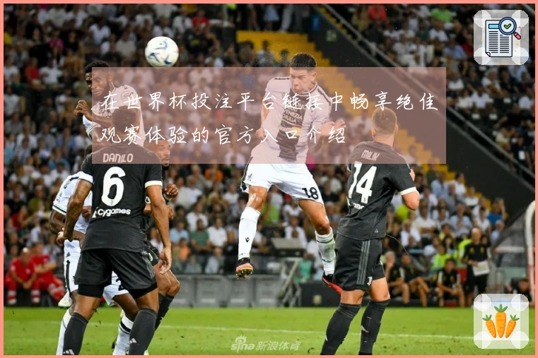 在世界杯投注平台链接中畅享绝佳观赛体验的官方入口介绍