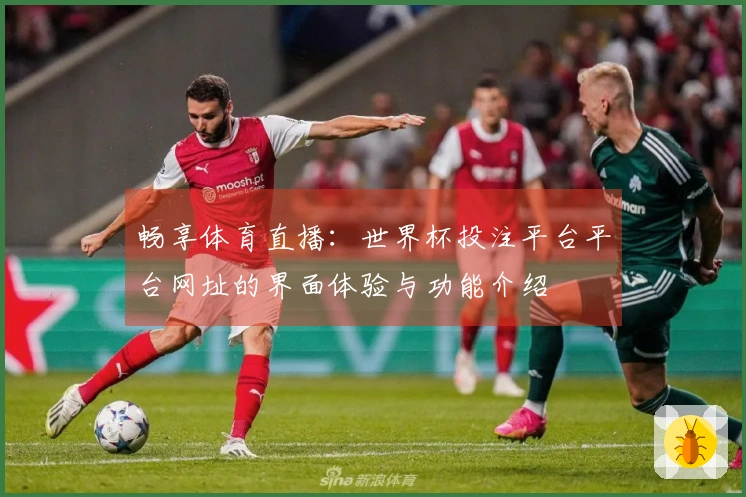 畅享体育直播：世界杯投注平台平台网址的界面体验与功能介绍