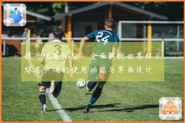 提升观赛体验，全面解析世界杯买球客户端的使用功能与界面设计