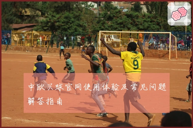 中欧买球官网使用体验及常见问题解答指南