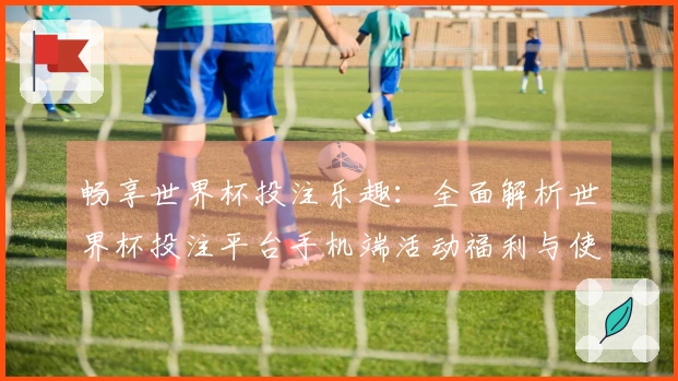 畅享世界杯投注乐趣：全面解析世界杯投注平台手机端活动福利与使用指南