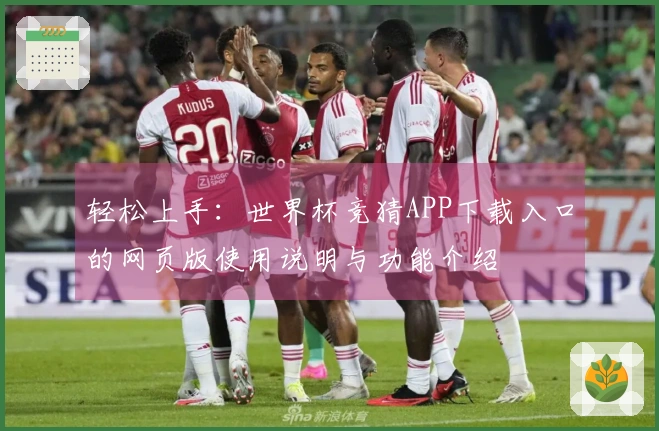 轻松上手：世界杯竞猜APP下载入口的网页版使用说明与功能介绍