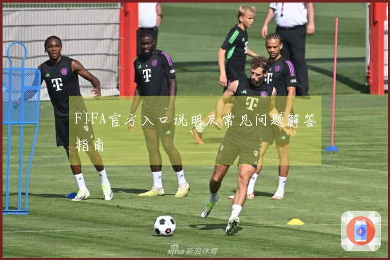FIFA官方入口说明及常见问题解答指南