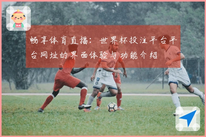 畅享体育直播：世界杯投注平台平台网址的界面体验与功能介绍