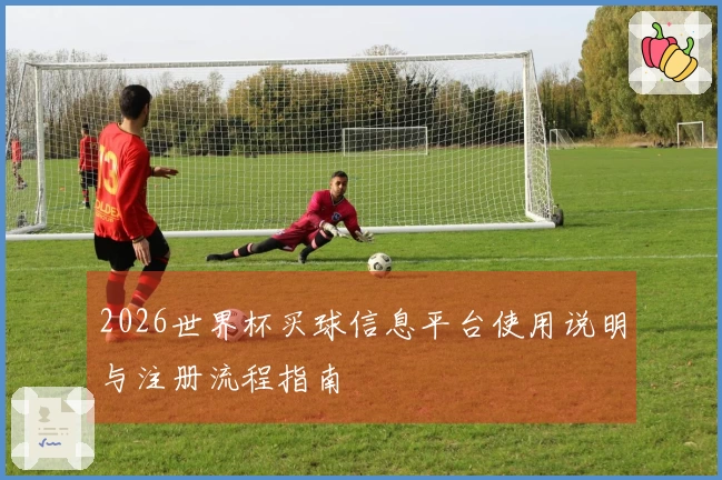 2026世界杯买球信息平台使用说明与注册流程指南
