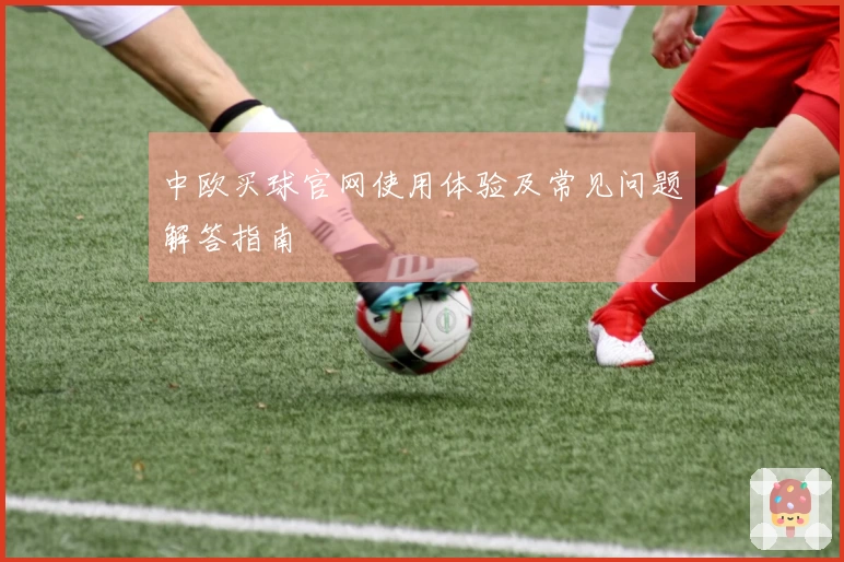 中欧买球官网使用体验及常见问题解答指南