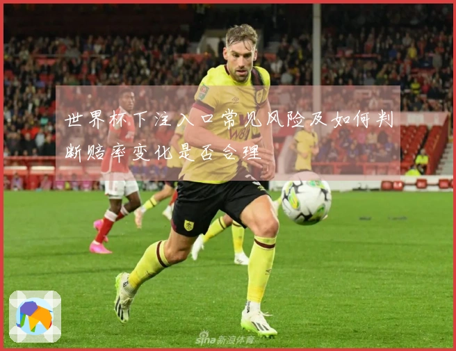 世界杯下注入口常见风险及如何判断赔率变化是否合理