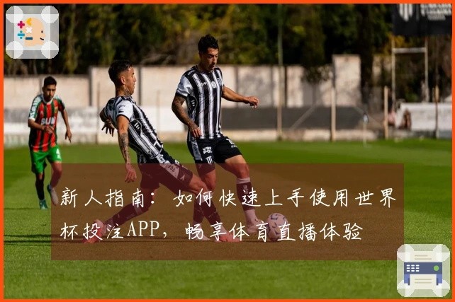 新人指南：如何快速上手使用世界杯投注APP，畅享体育直播体验
