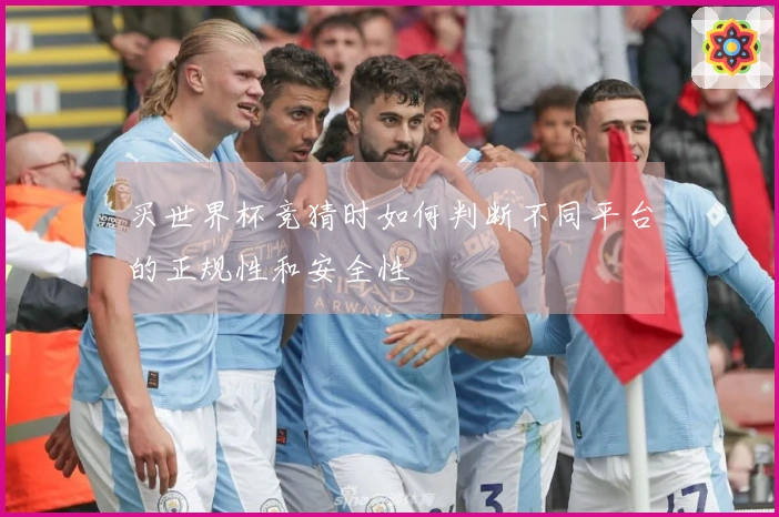 买世界杯竞猜时如何判断不同平台的正规性和安全性