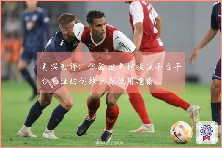真实测评：体验世界杯投注平台平台网址的优缺点与使用指南