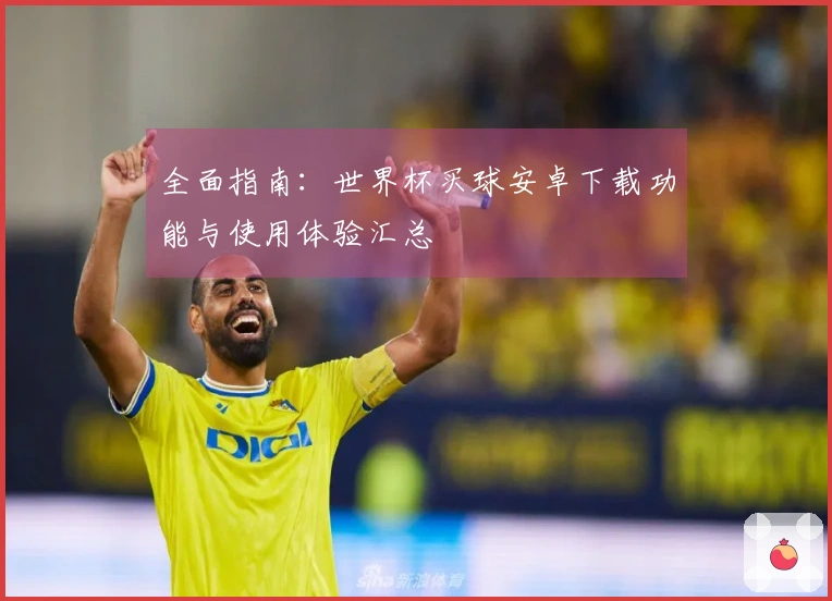 全面指南：世界杯买球安卓下载功能与使用体验汇总