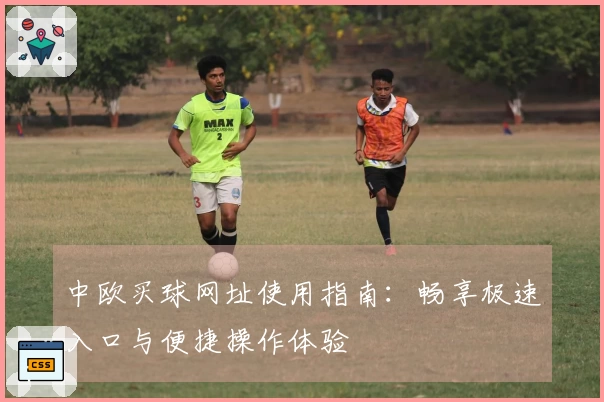 中欧买球网址使用指南：畅享极速入口与便捷操作体验