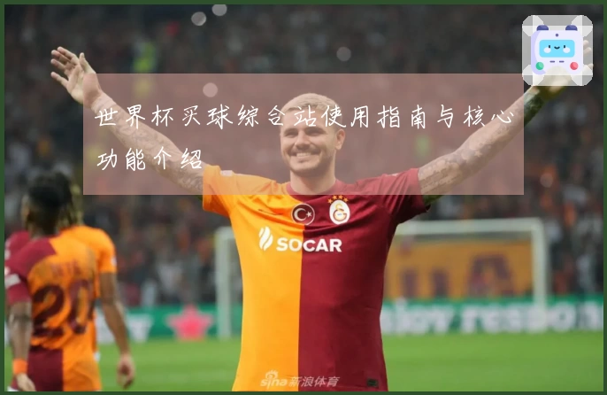 世界杯买球综合站使用指南与核心功能介绍