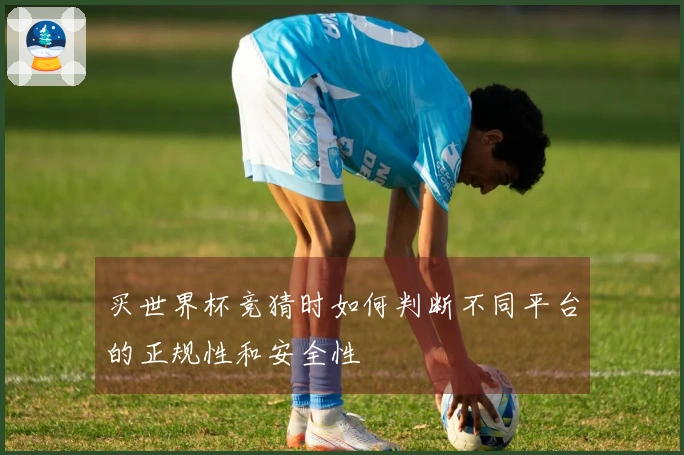 买世界杯竞猜时如何判断不同平台的正规性和安全性