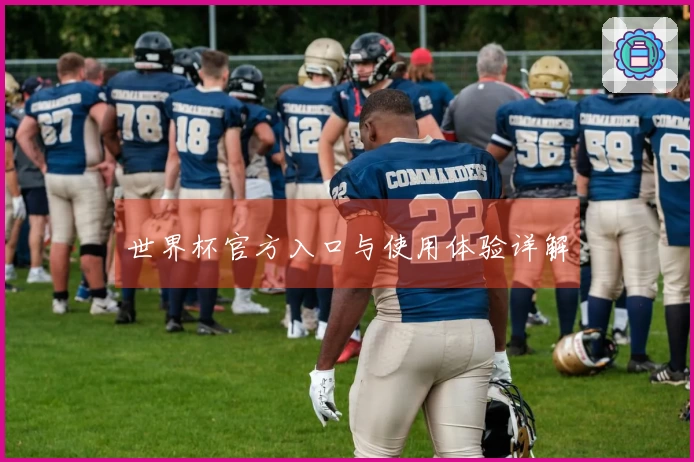 世界杯官方入口与使用体验详解